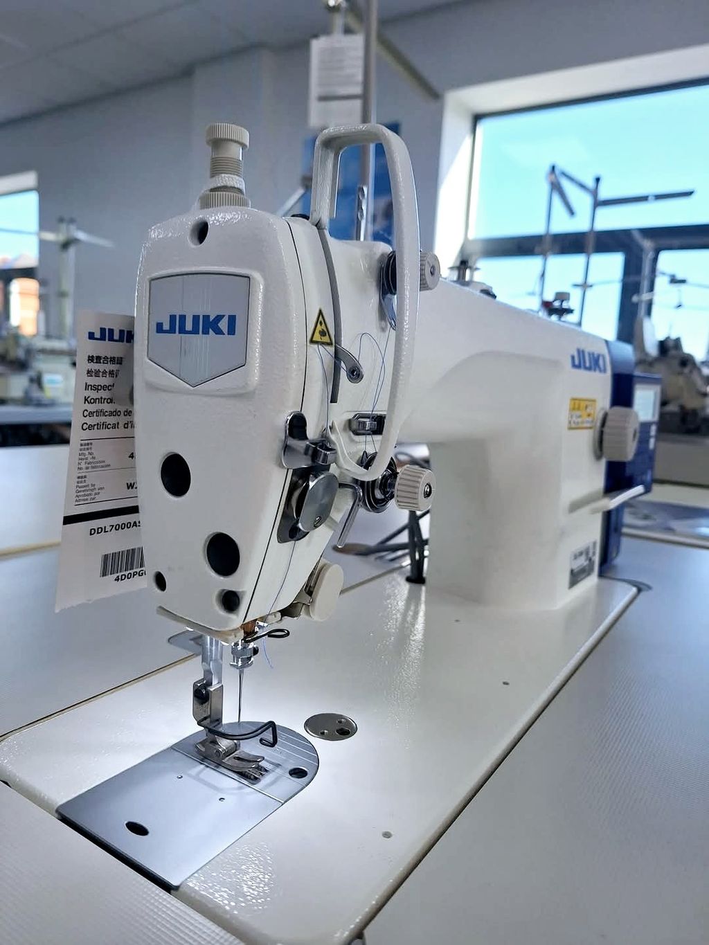 FB_IMG_1736092002570