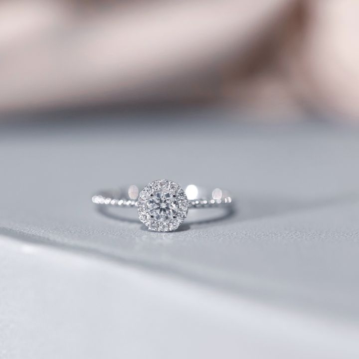 S__52961501.jpg