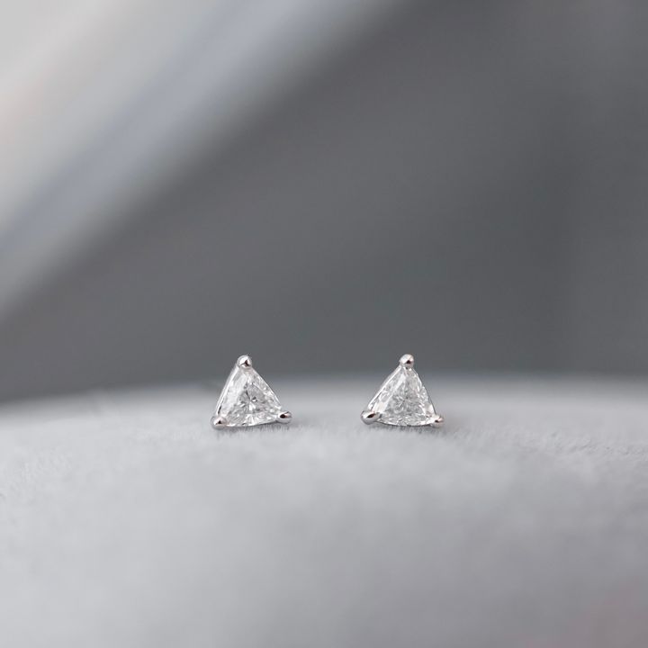 S__53395520.jpg