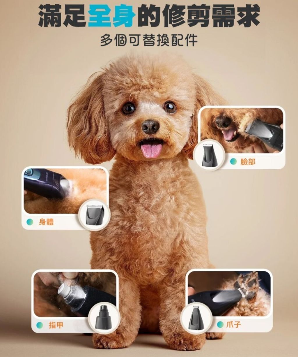 螢幕擷取畫面 2026-06-03 105213