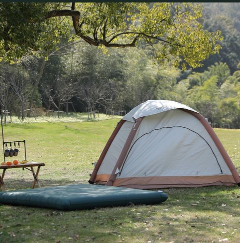 螢幕擷取畫面 2024-08-30 115556