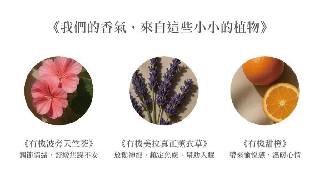 螢幕擷取畫面 2025-06-13 114132