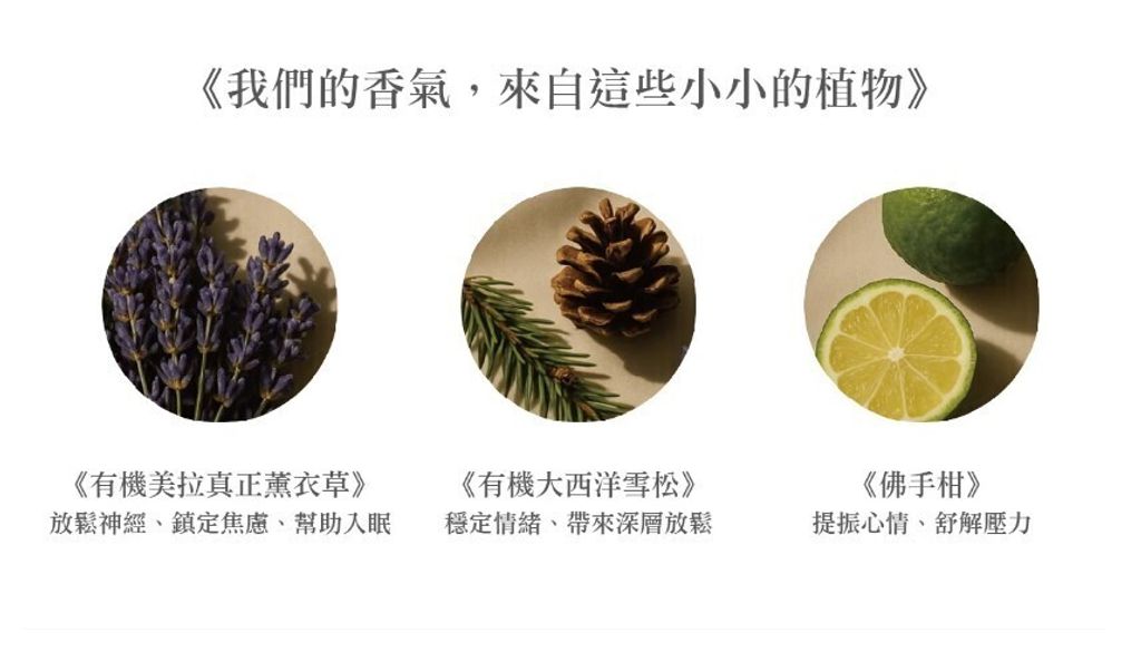 螢幕擷取畫面 2025-06-13 115357
