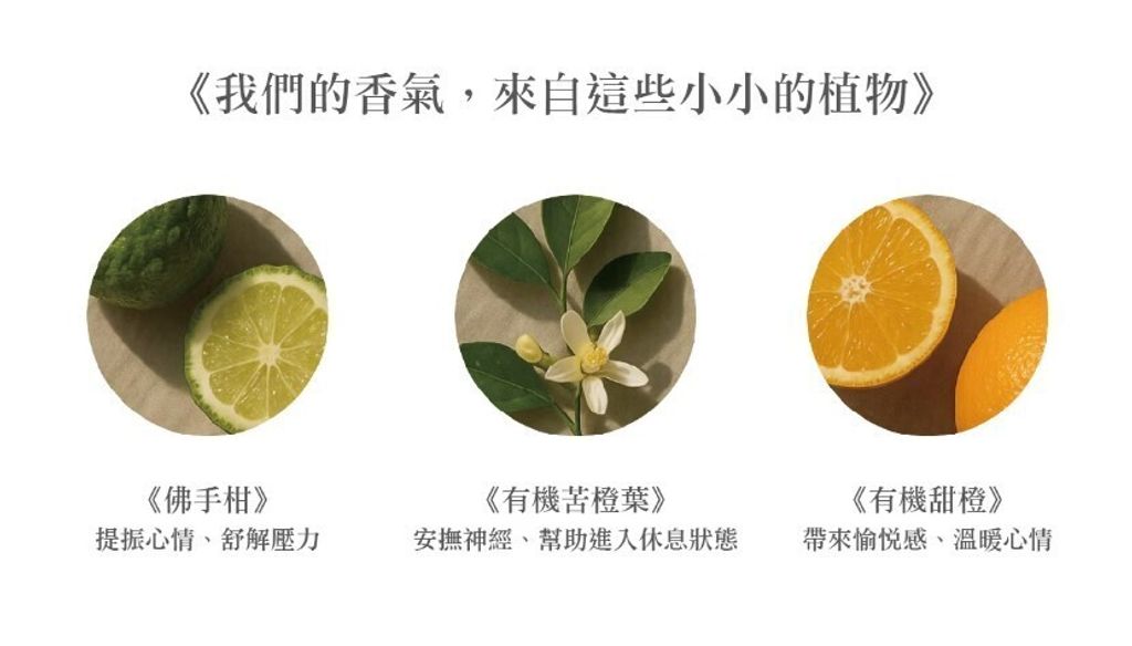 螢幕擷取畫面 2025-06-13 115909
