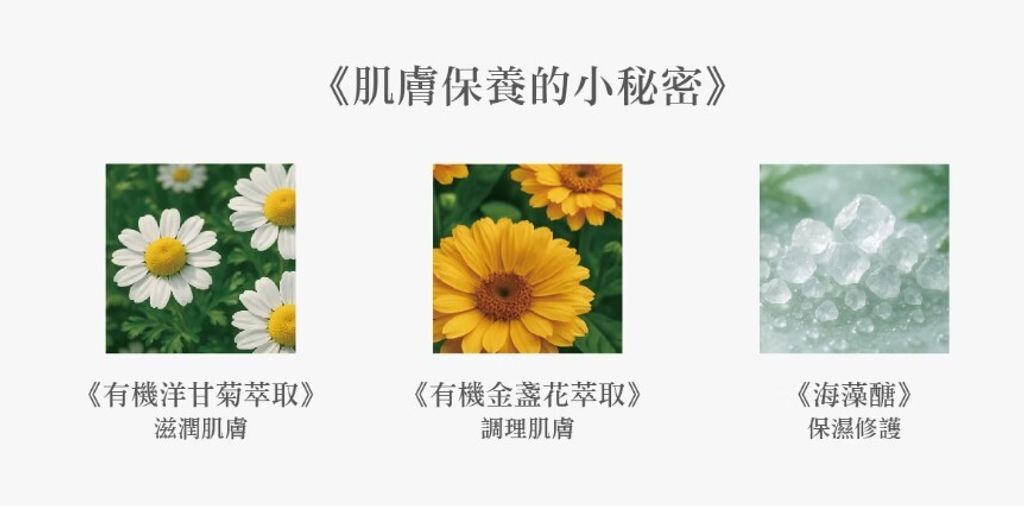螢幕擷取畫面 2025-06-19 104055