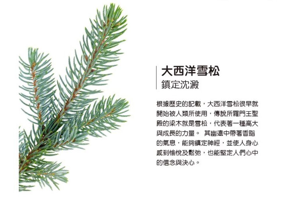 螢幕擷取畫面 2025-06-19 120350
