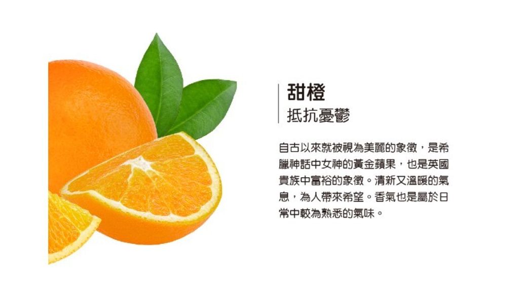 螢幕擷取畫面 2025-06-19 121058