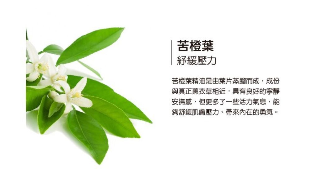 螢幕擷取畫面 2025-06-19 121120