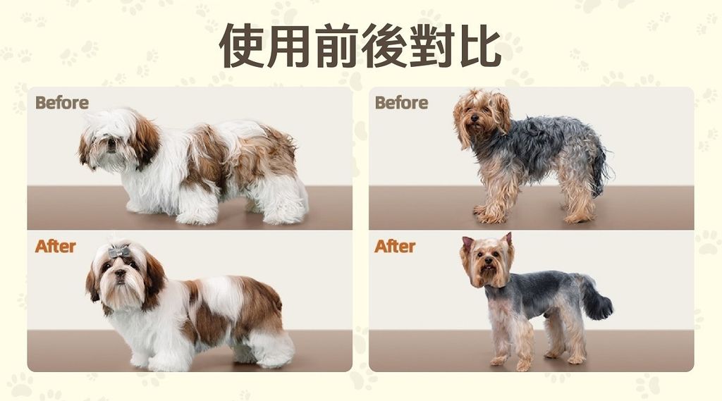 Oneisall S1 資料圖-10