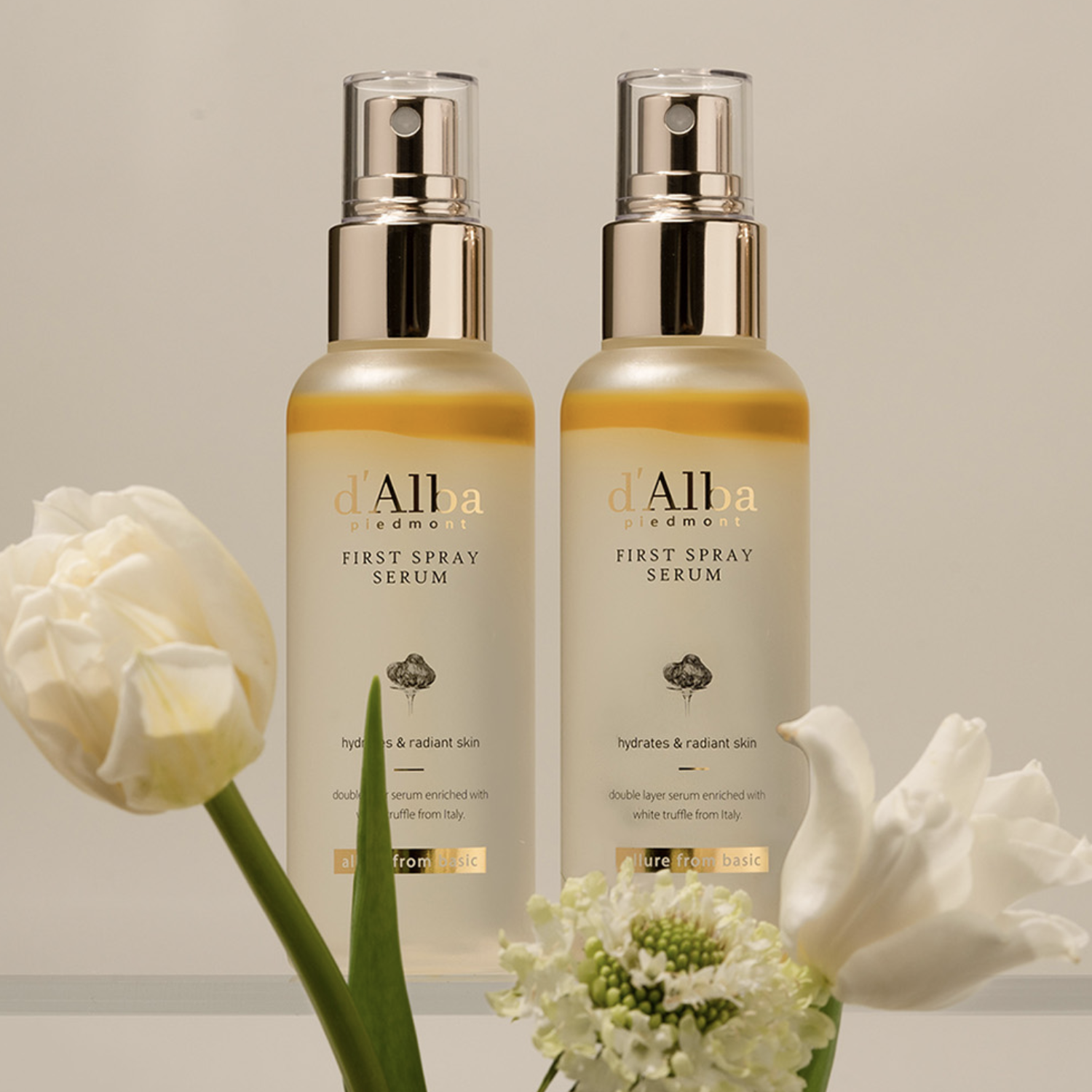 截圖 2025-05-13 上午11.43.01