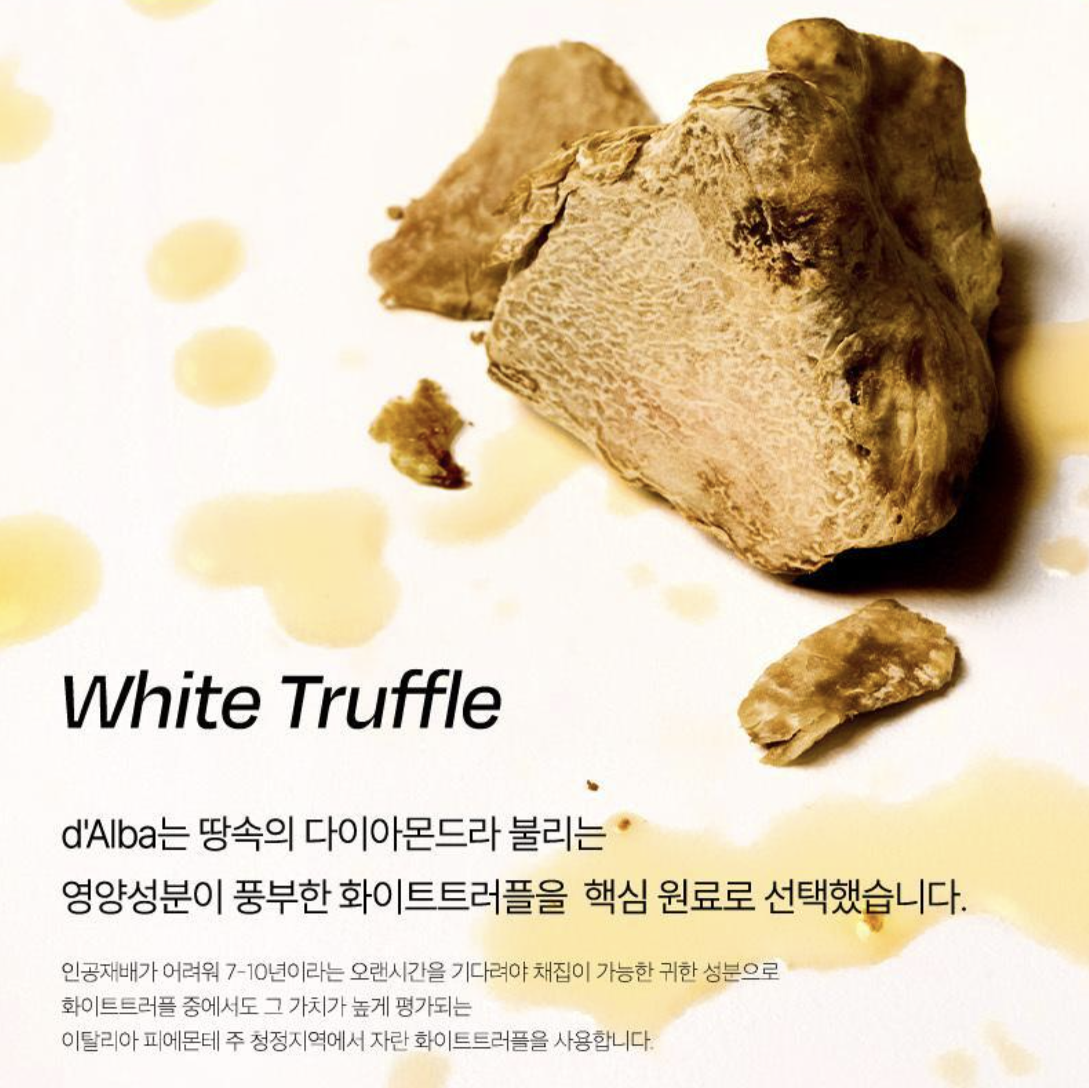 截圖 2025-05-13 下午3.23.24