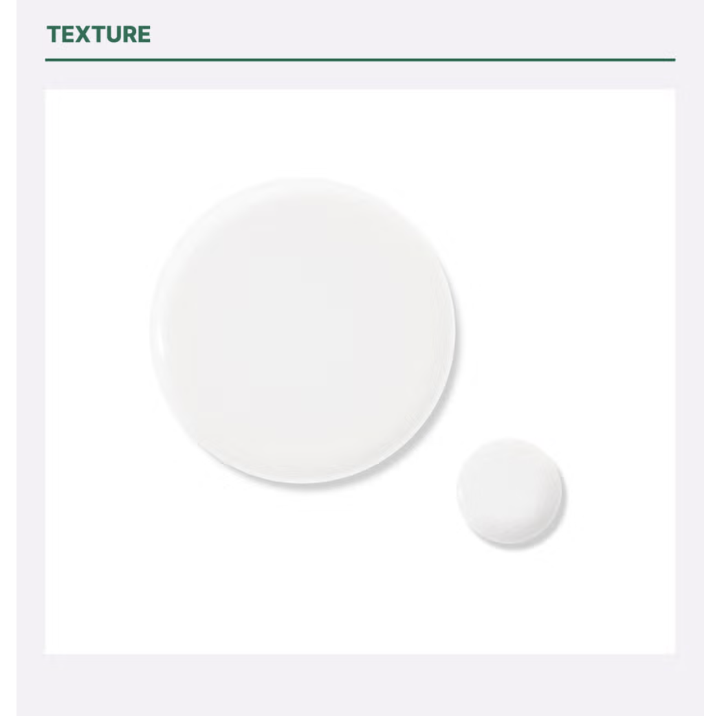 截圖 2025-08-05 上午11.04.26