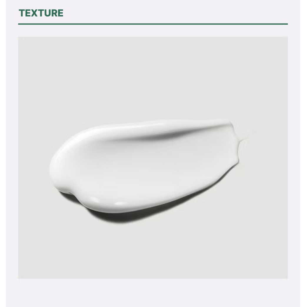 截圖 2025-08-05 上午11.03.13