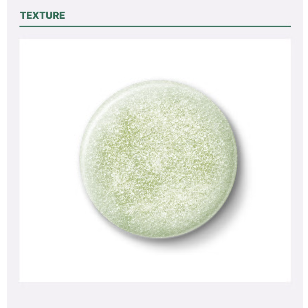 截圖 2025-08-05 上午11.04.52