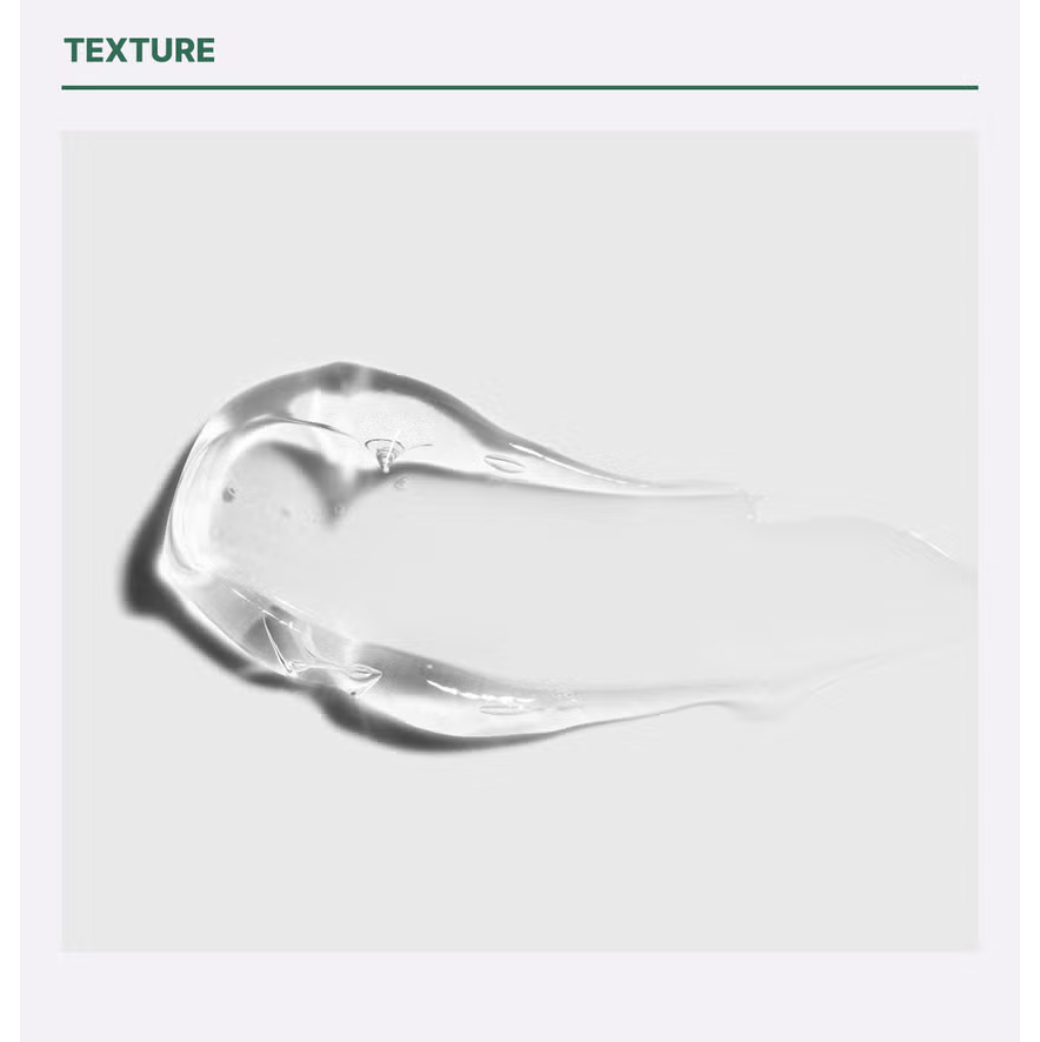 截圖 2025-08-05 上午11.12.31