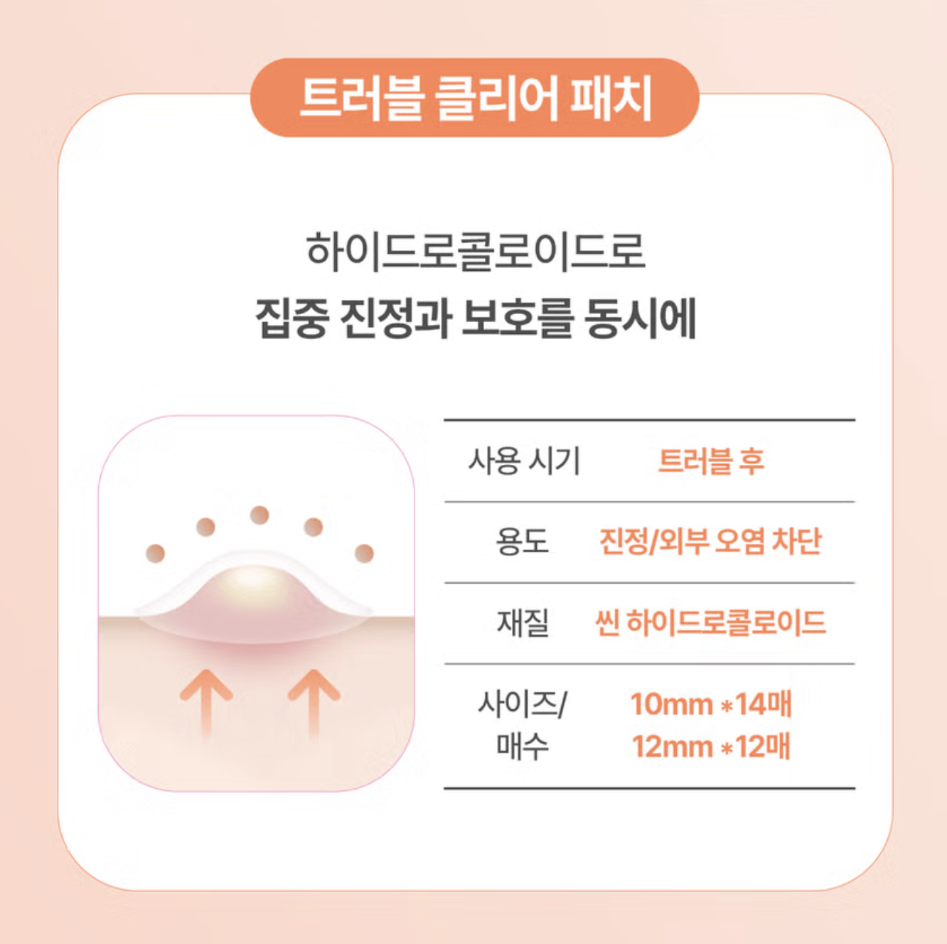 截圖 2025-08-12 中午12.25.13