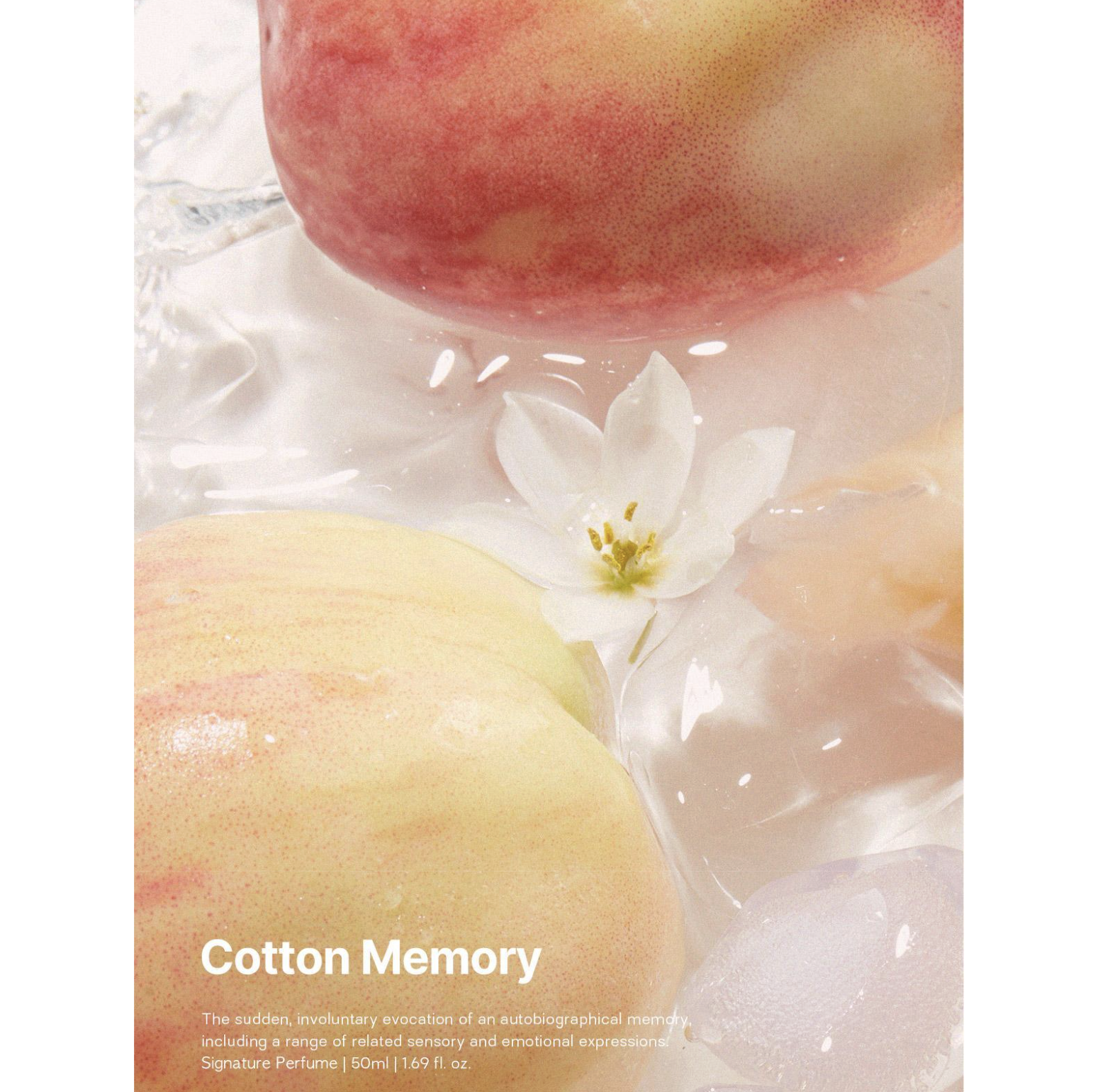 截圖 2025-10-13 上午11.51.31