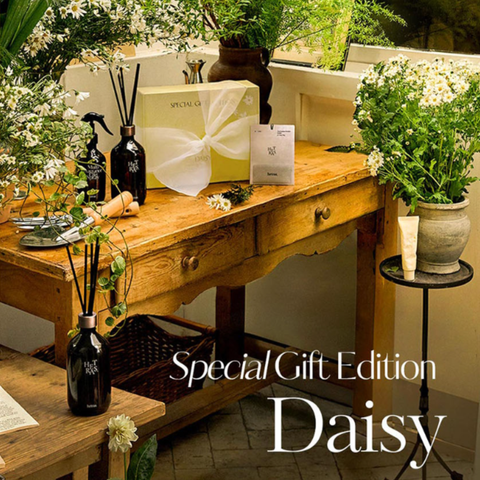 hetras daisy gift 02