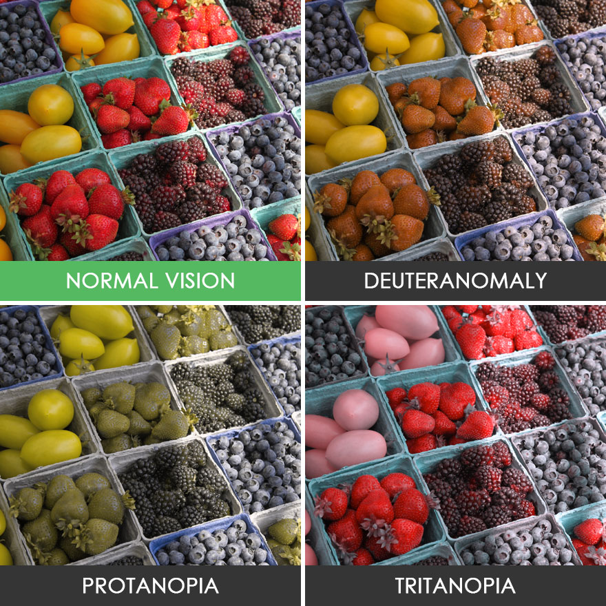different-types-color-blindness-photos-29.jpg
