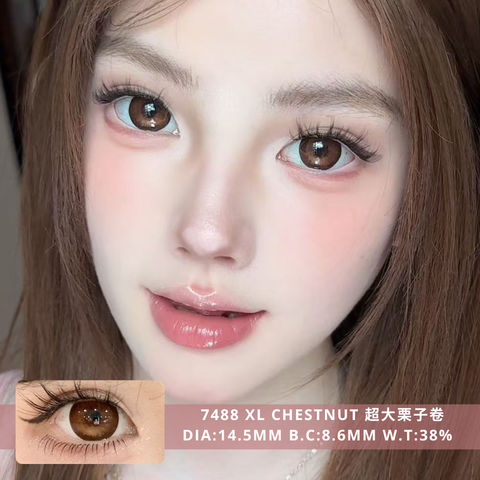 NEW COVER 7488 XL Chestnut 超大栗子卷