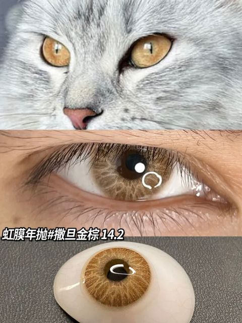 WeChat Image_20230711224428