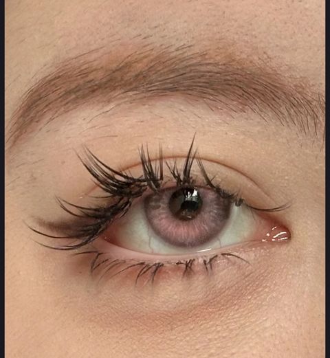 WeChat Image_20240217200814