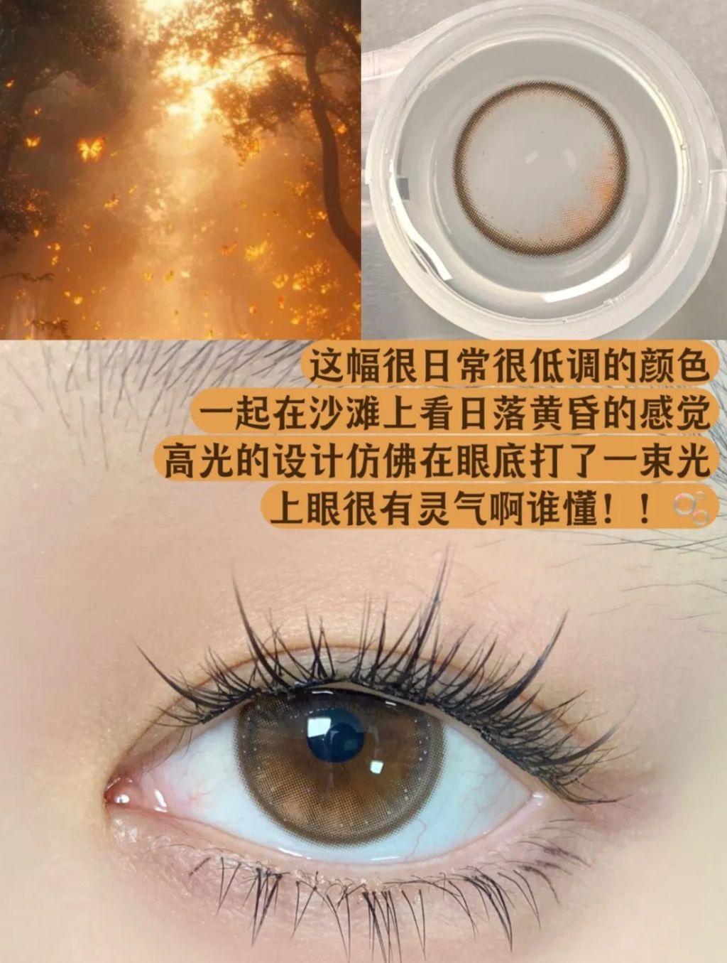 WeChat Image_20240310030303