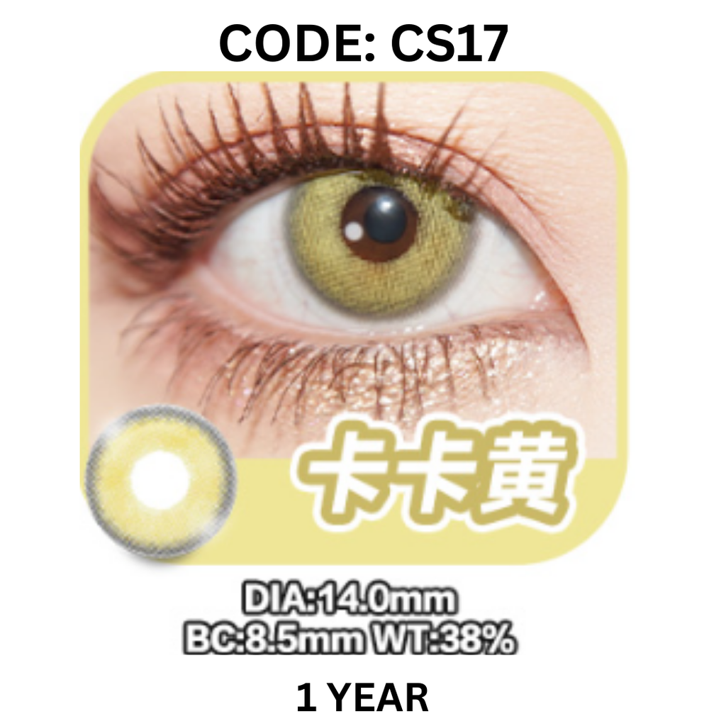 Copy of NEW COVER CODE CS17