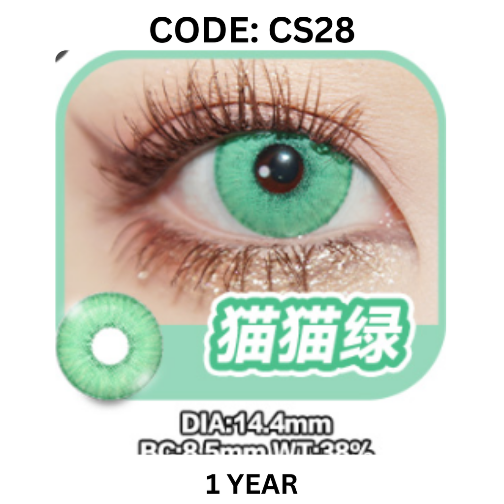 Copy of NEW COVER CODE CS28
