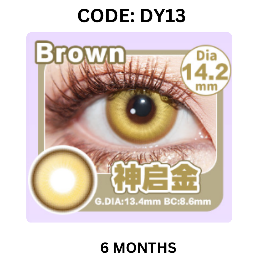 Copy of NEW COVER CODE DY13