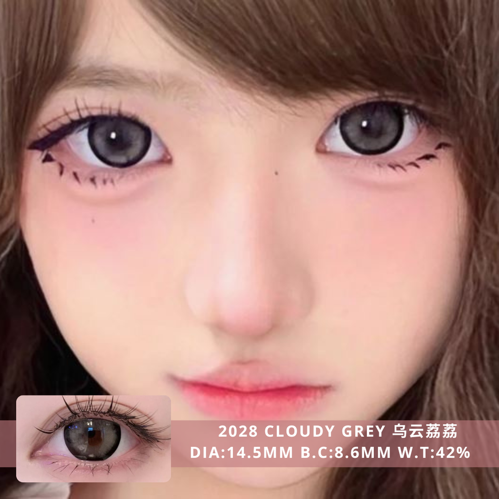 NEW COVER 2028 Cloudy Grey 乌云荔荔