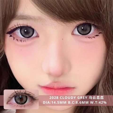 NEW COVER 2028 Cloudy Grey 乌云荔荔