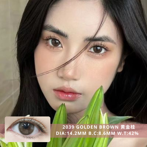 NEW COVER  2039 Golden Brown 黄金桂 