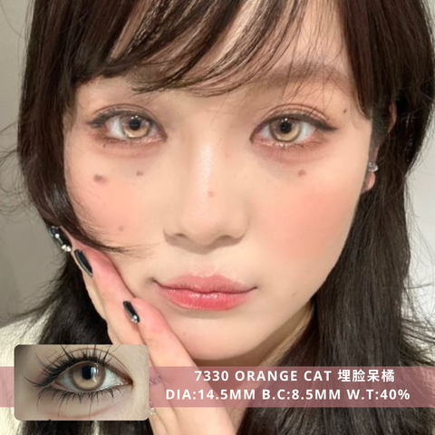 NEW COVER 7330 Orange Cat 埋脸呆橘