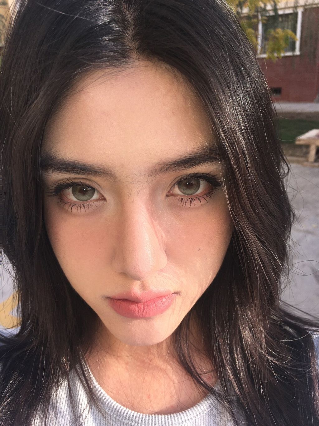 i1762768463468_6455_0_0