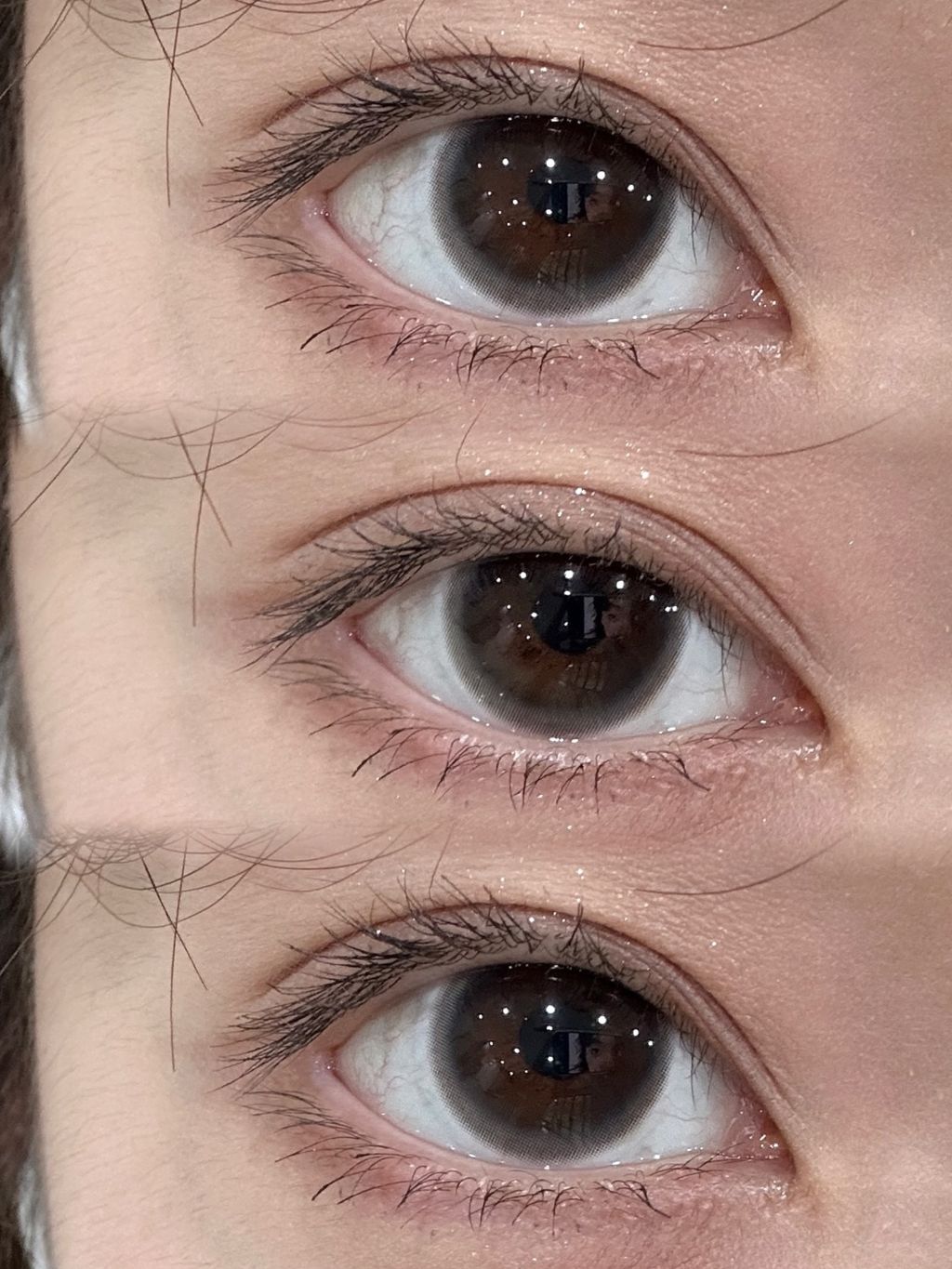 cmp_i1764613005703_3851_0_5