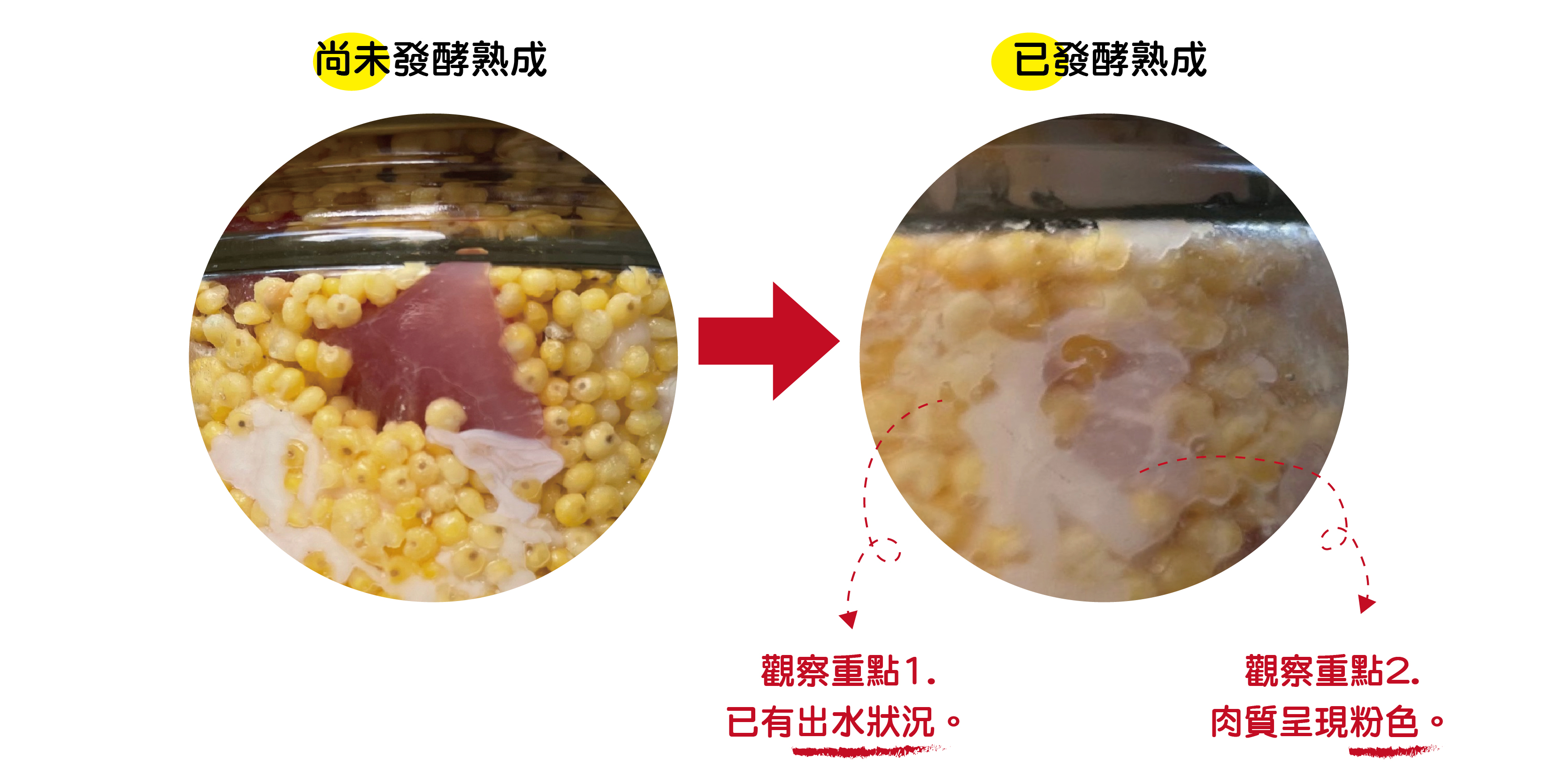 泰雅醃肉判斷方式.jpg 泰雅醃肉判斷方式.jpg