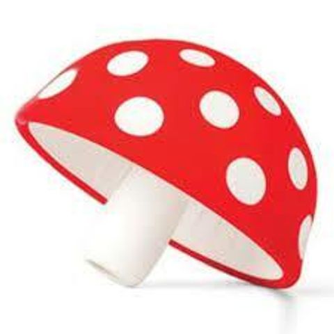MUSHROOM.jpg