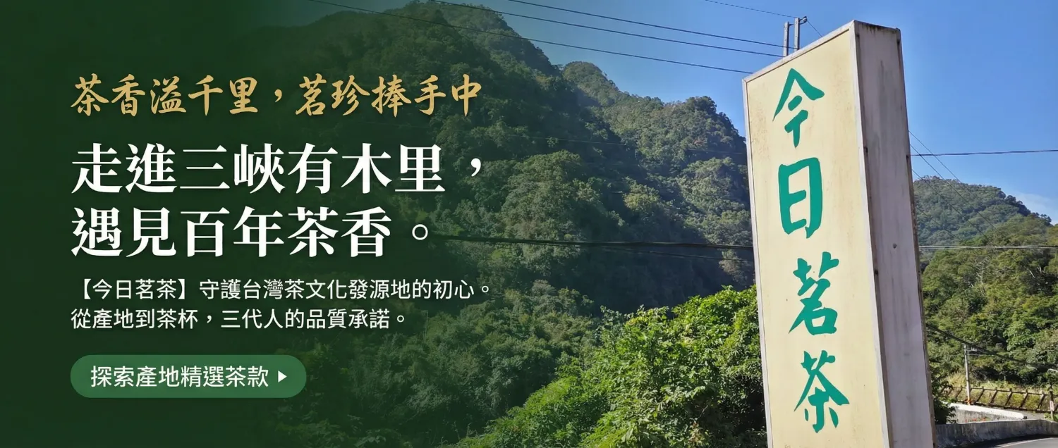 呈星｜誠心推薦No.1生活設計門市。 - 