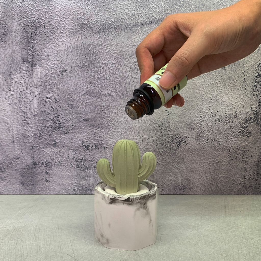 仙人掌擴香石 05