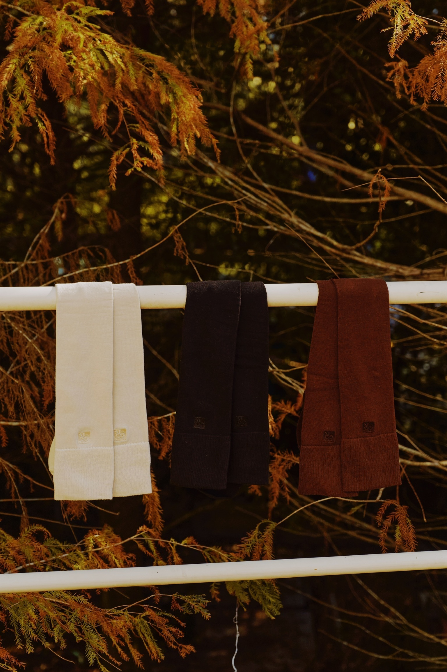 1FA3655A-1491-46BA-8BA8-398454C6FAF8