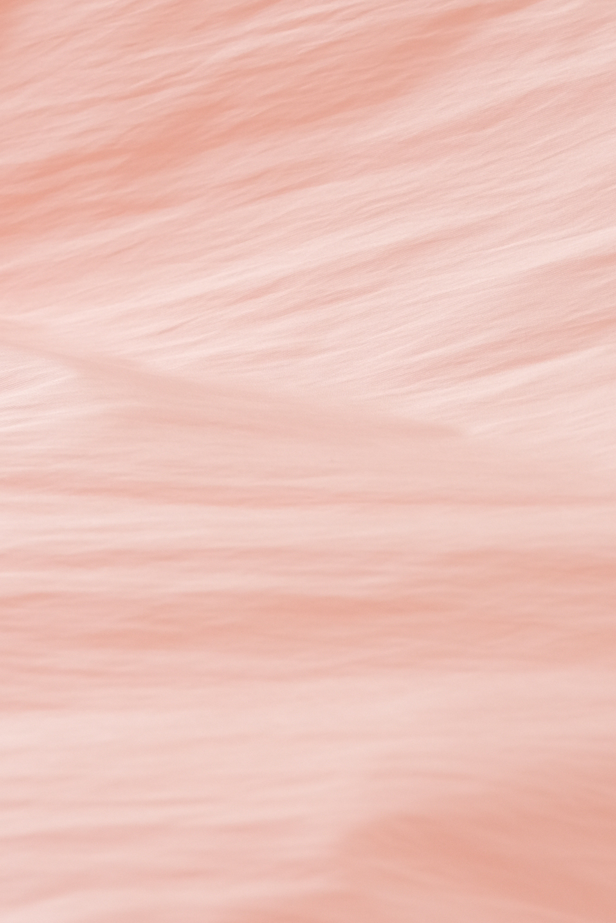 DSCF9525