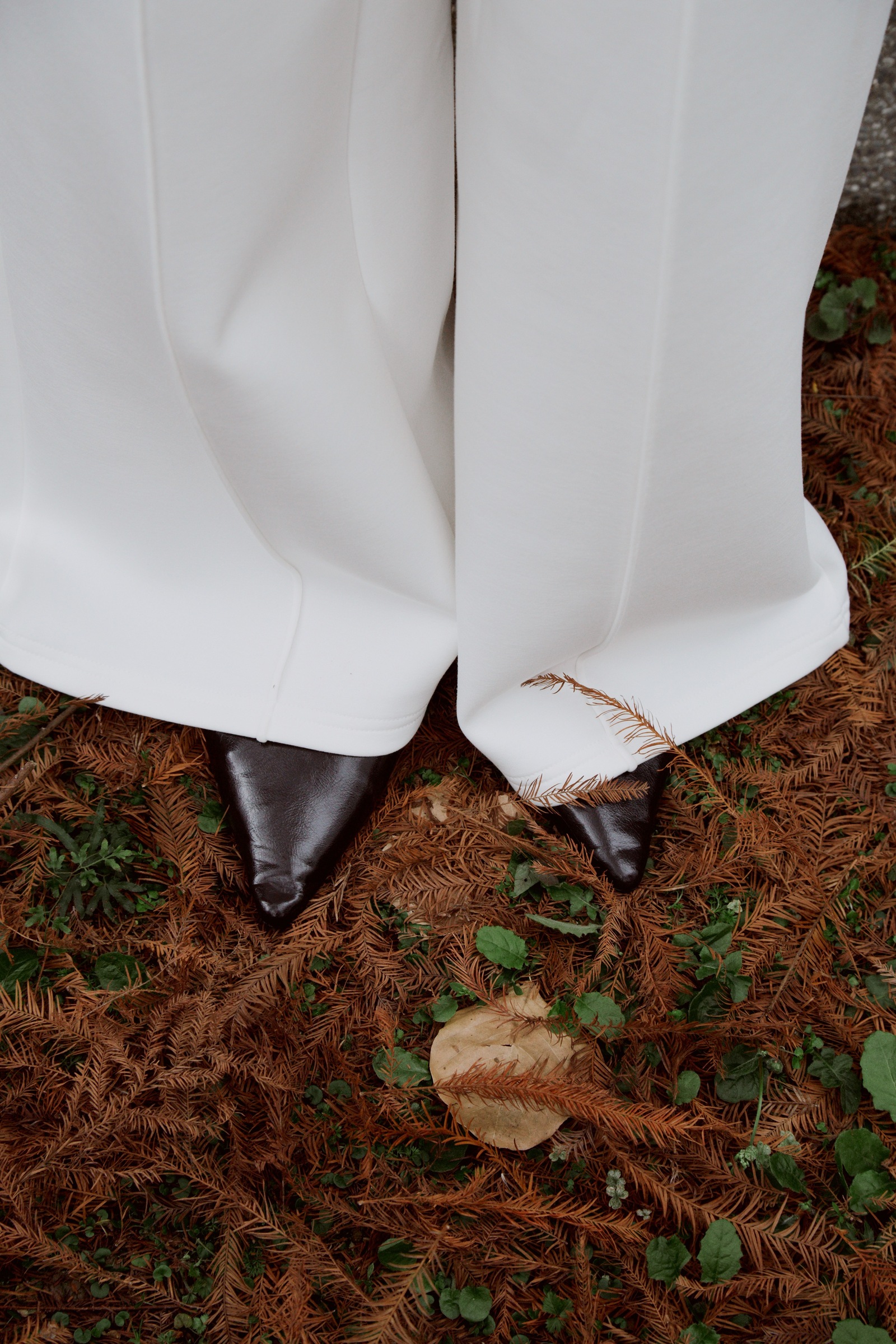 036E59F1-9663-485F-BECB-D7C2D30F81AF 2