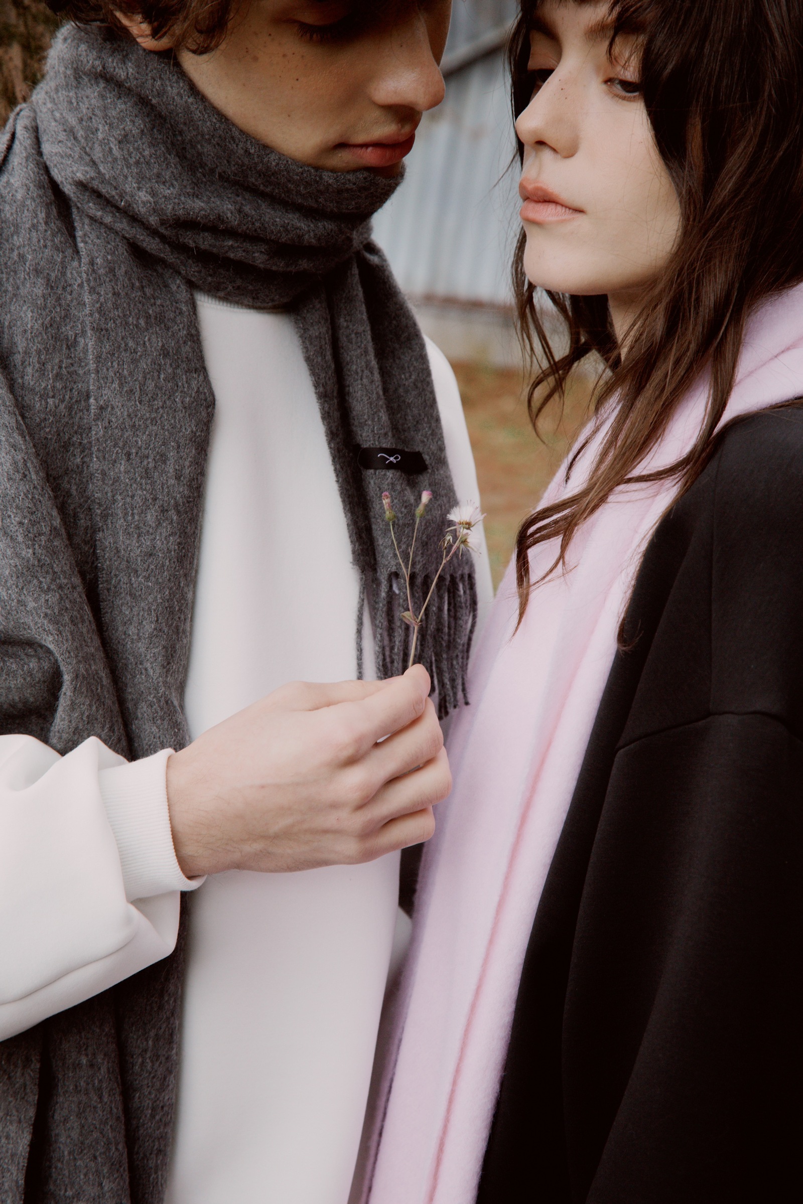 623CF74B-642D-4C38-9C79-008A78CE2C73 2