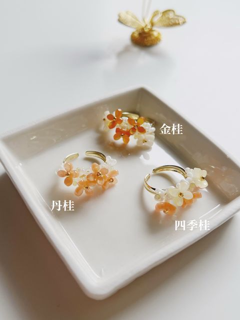 image_6A1E7E9F-F55D-4788-9A71-0E6BFA5B57EE_1761728754