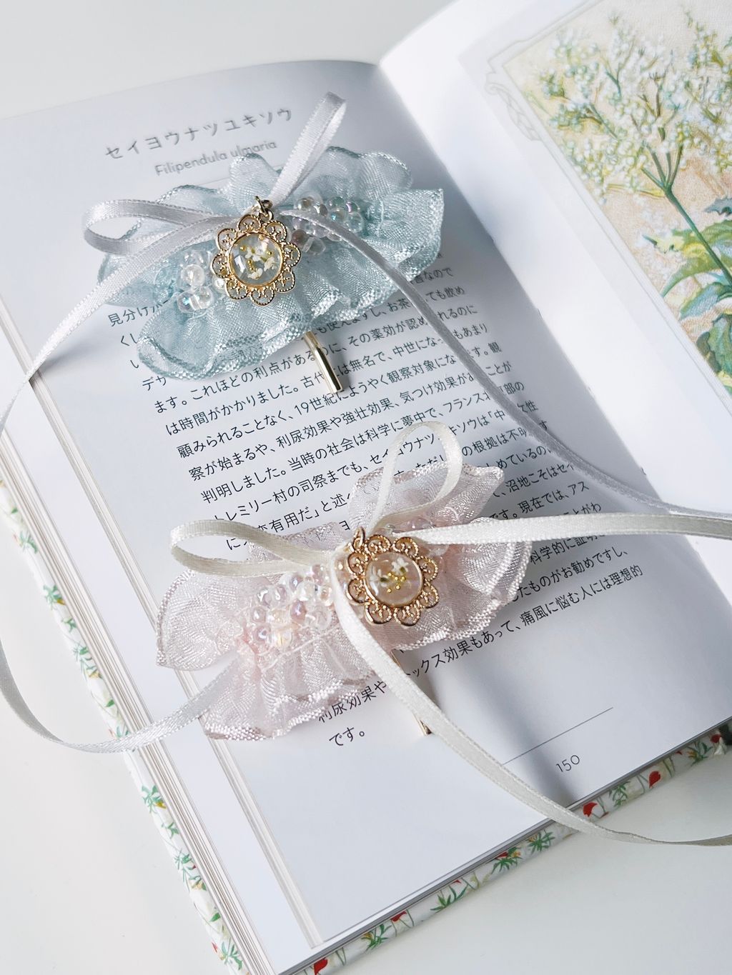 image_170EE048-B62E-40C9-8ED1-4FAD429F2084_1770561183