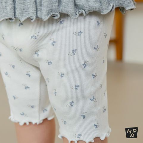 imgi_11_8aa19b56fdaa5e4735a229d520045a8f