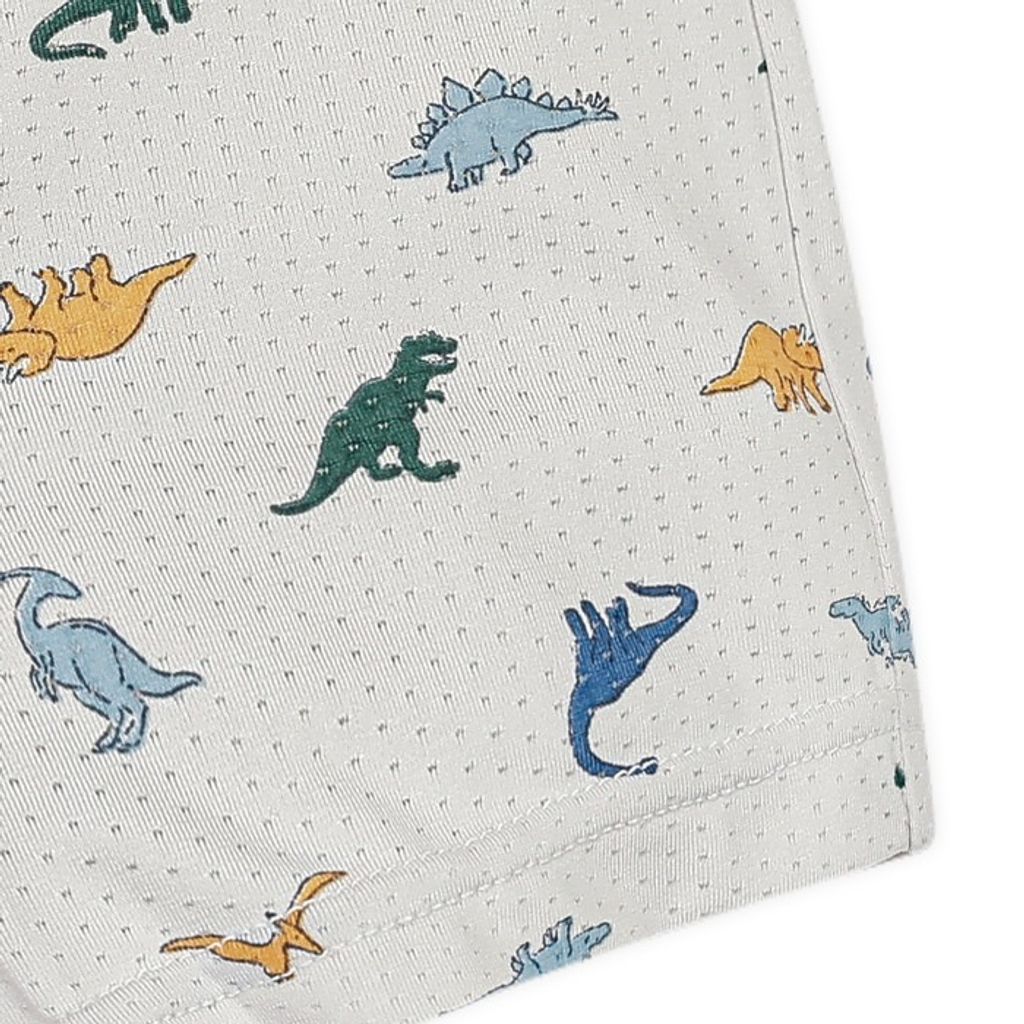 imgi_7_847a5875d62622d237cf58bdff996aa8