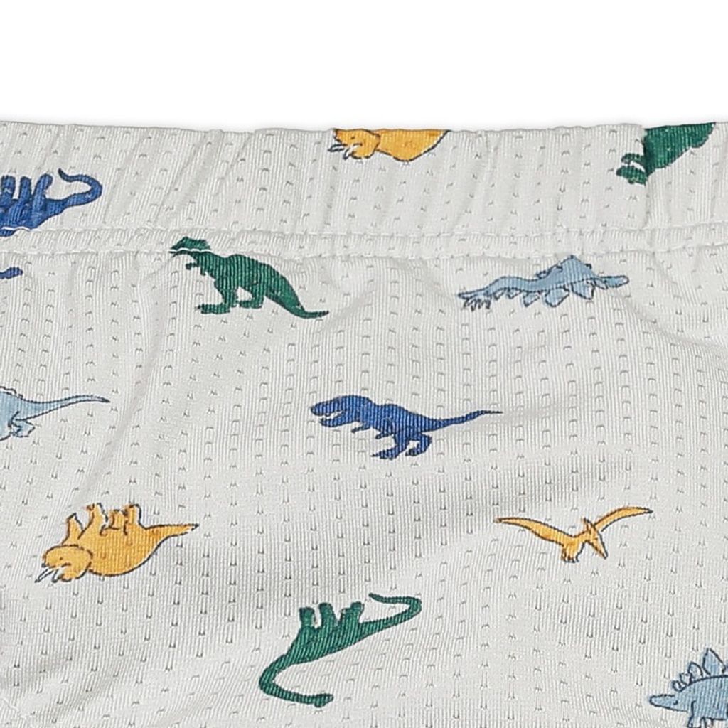 imgi_4_6218b88b6894f4495a5677763fdf8a23