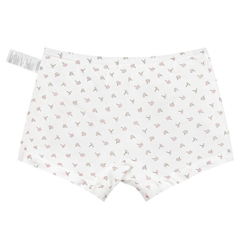 imgi_5_65d5897d14f444c03e4a1d37d1172966